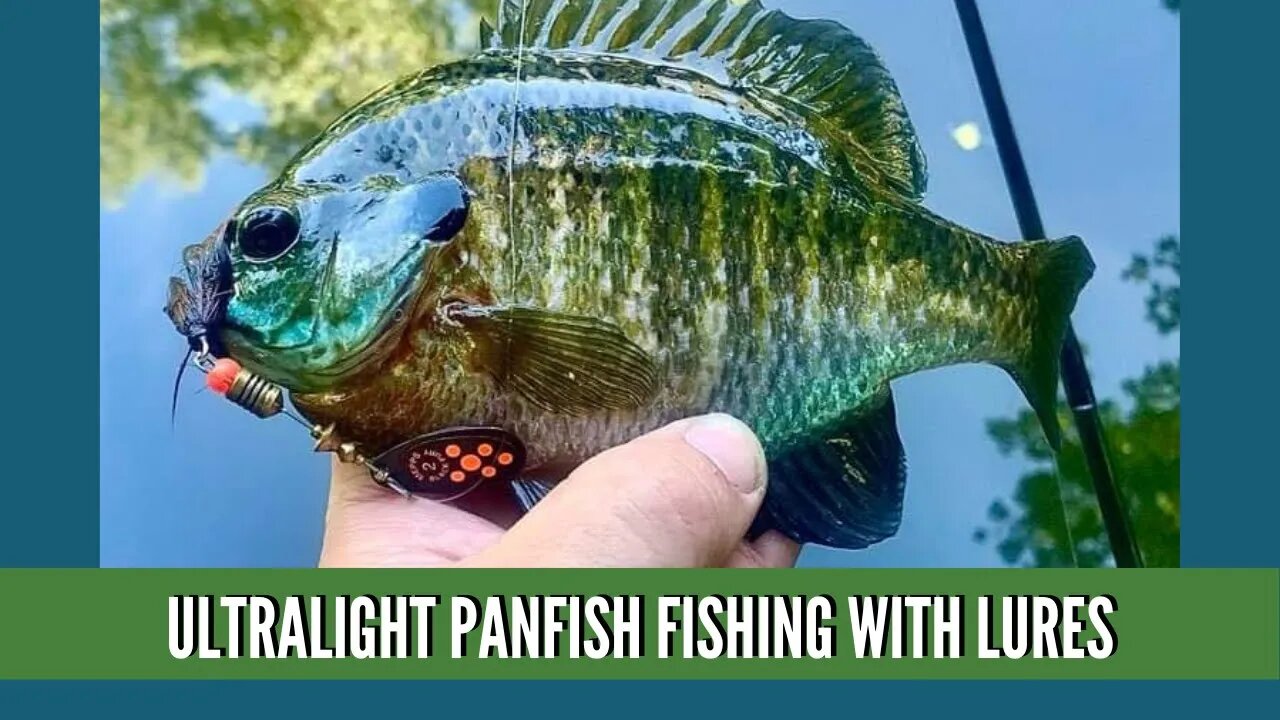 River Fishing For Panfish / Panfish Fishing With Lures / Ultralight Fishing  For Bluegill