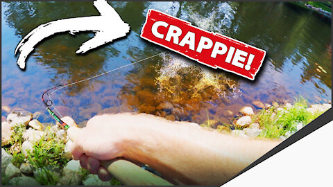 Crappie Fishing Secret (DON’T SHARE!) Are You Missing EASY Fish?