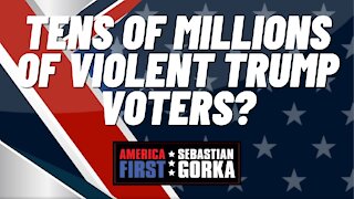 Tens of Millions of violent Trump voters? John Solomon with Sebastian Gorka on AMERICA First