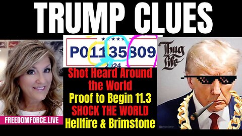 Trump Clues- Mugshot Heard Round the World! Proof 11.3 Hellfire 8-27-23