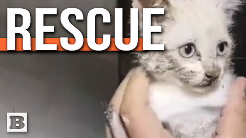 CAT IN THE PIPE! Italian Firefighters Rescue Adorable Trapped Kitten