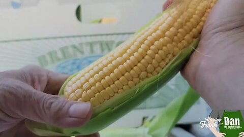 Nothing like Fresh-Picked summer corn! #shorts