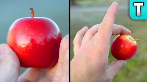 Rockit Apple (One of the World's Smallest) | Fruits You've Never Heard Of