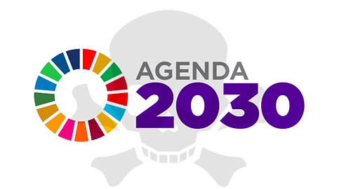 THE ACCELERATION OF WEF'S 2030 AGENDA