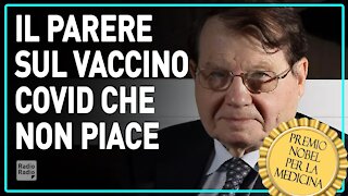 "Lo vogliono affossare!" Le teorie scomode del Premio Nobel Luc Montagnier contro il vaccino Covid