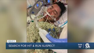 Search for hit-and-run driver continues