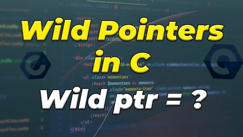 Wild Pointers In C Programming Language
