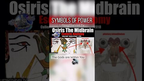 Resurrecting Osiris in the Brain- Lifting The Veil (Shorts)