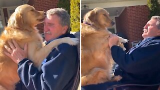 Dog isn't happy when asked to social distance from best friend