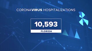 Florida breaks record with 10,593 COVID-19 hospitalizations