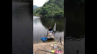 Amazing Fishing Best 🐟 Fishing Video