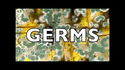 Trailer: Gerrrrrrrrrrms