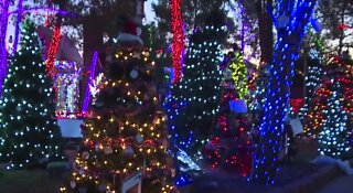 Inside the Magical Forest: Holiday fun for a good cause