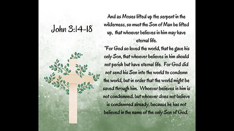 The Son of Man Lifted Up