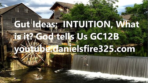 Gut Ideas; INTUITION, What is it? God tells Us #Shorts #shortsvideo #reels @danielhanlon8431 *GC12B