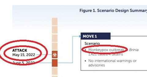 Documents from 2021 int'l security exercise showed monkeypox bio attack on May 15, 2022