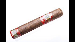 Blanco Cigars Sumatra Robusto Cigar Review