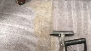 Carpet Cleaning ASMR - Cleaning Heavily Soiled Carpet