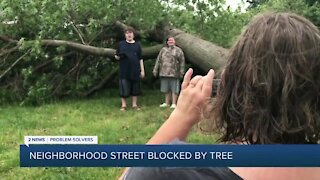 Tulsa neighborhood street blocked by fallen tree
