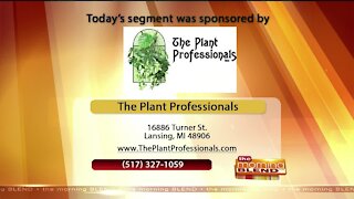 The Plant Professionals - 9/11/20