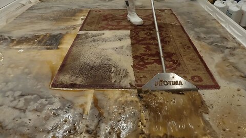 From Noob to Pro : Watch Me 'Try' To Clean a Tobacco-Stained Rug! ASMR Carpet Cleaning
