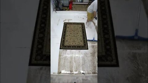 Beast To Beauty | Satisfying Rug Cleaning #shorts