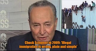 Chuck Schumer: Trump will never 'get the wall in any form'