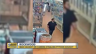 Man caught on camera stealing python from Michigan pet store