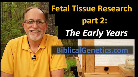 Fetal Tissue Research, part 2: The Early Years