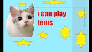 sweet cat playing table tennis