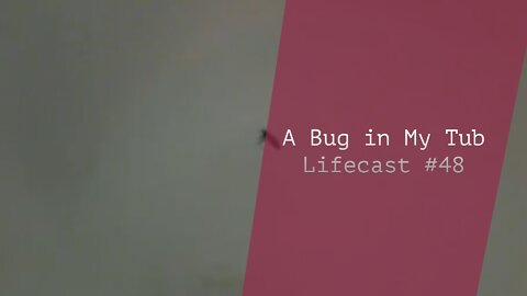 A Bug in My Tub | Lifecast #48