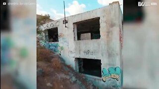 Jovem explora fábrica abandonada com drone