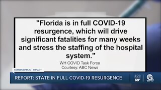 Florida in 'full COVID-19 resurgence,' according to White House COVID task force