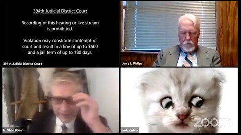 "Can you hear me judge?" says the prosecuting cat.