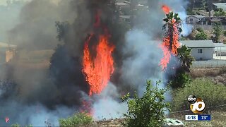 Crews stop brush fire that erupted near homes in Skyline