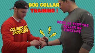 Dog training collar. Why it can potentially keep your dog alive!