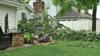 Downed trees, power outages left behind after Thursday night's storms