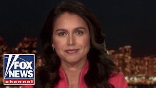 NEWS FOR Americans /Tulsi Gabbard issues warning about elites to Americans