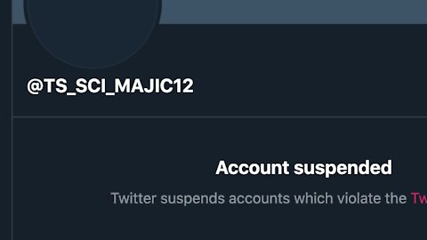 [MEQ #66: 13 August 2020] Twitter SUSPENDS Majestic 12's account @TS_SCI_MAJIC12 😡