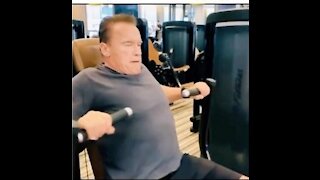 Arnold Schwarzenegger Legend