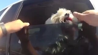 Hero police officer saves panting dog from sweltering car