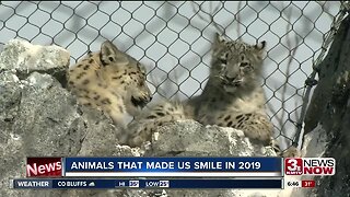 Animals that made us smile