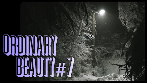 Ordinary Beauty #7 - Deep Winter Night