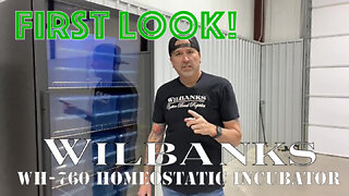 First Look! Wilbanks Homeostatic Incubator Model WH 760