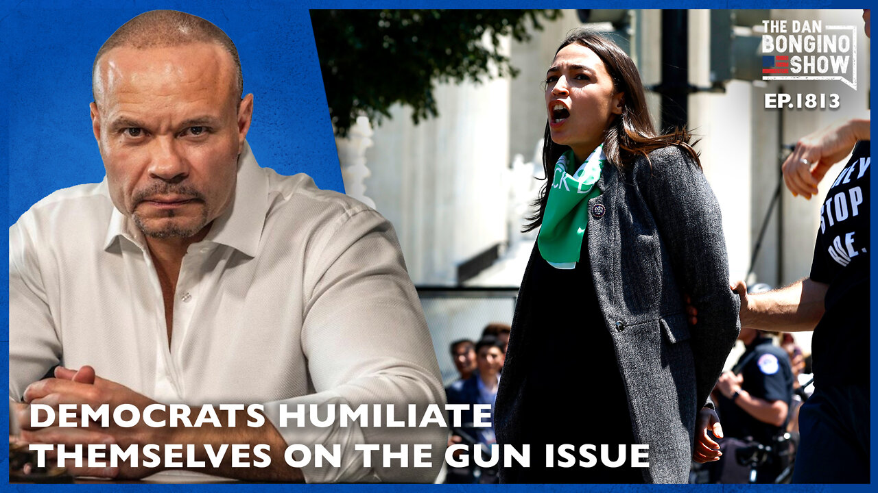 Hilarious Video Of Democrats Humiliating Themselves On The Gun Issue