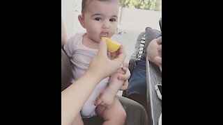 Baby girl surprisingly loves tasting lemons