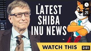 IMPORTANT Shiba Inu UPDATE!