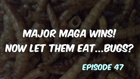 Major MAGA Wins! Now Let Them Eat...Bug?