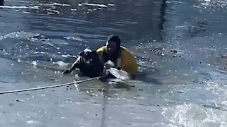 Firefighters rescue dog trapped in icy Colorado pond