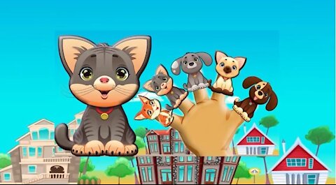 Cute Cat and Dogs Daddy Finger Family Song Cat and Dog Nursery Rhymes Cookie Tv Video